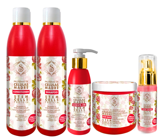 Kit de Cèlulas Madres