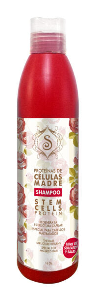 Cèlulas Madres Champú